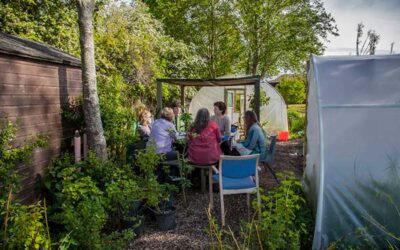 Allotment Ambassadors