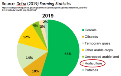 Britain’s fragile food security insights from Tim Lang