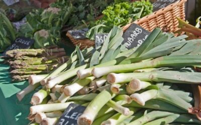 Bridport Farmers’ Market