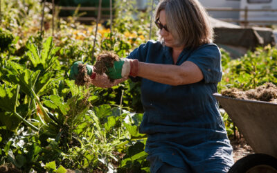 How to make my allotment more resilient