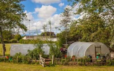 Open Veg and Fruit Gardens    Wednesday May 19 2021, 2-5pm