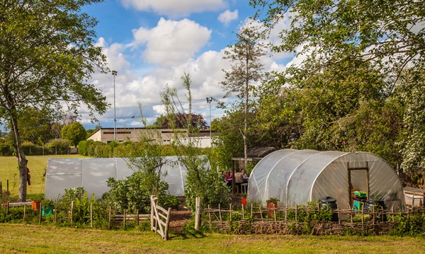 Open Veg and Fruit Gardens    Wednesday May 19 2021, 2-5pm