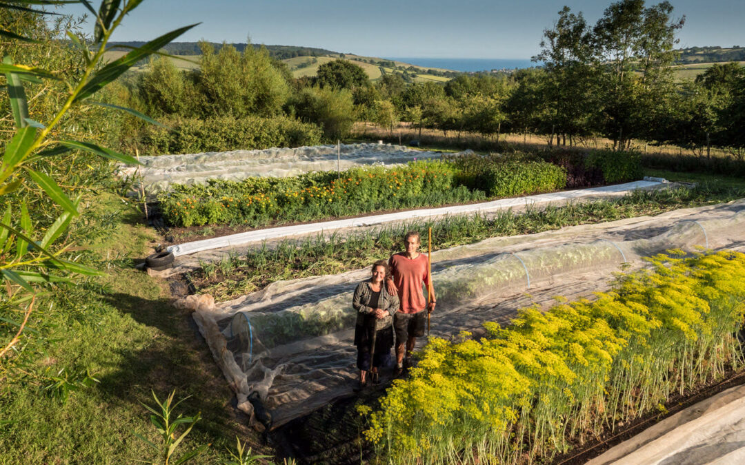 Meet your food grower: Lally and Tomas of Springtail Farm