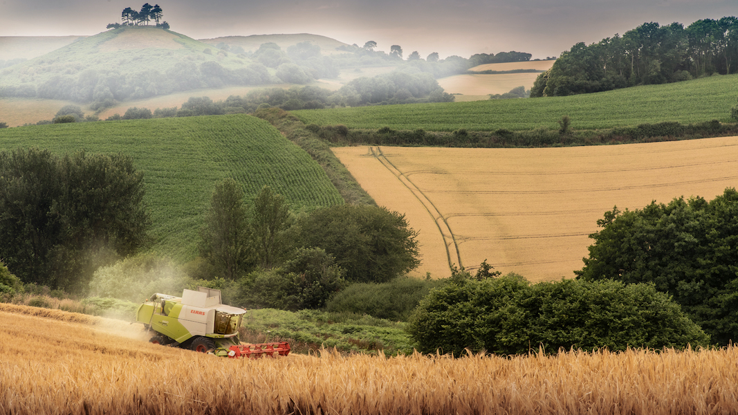 What is happening to our food: Robert Golden in conversation with Helen Woodstock, Candida Blaker & Philip Colfox: Thursday 17 June, 19:00 – 20.30 