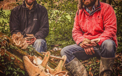 Meet the producer: Nick Phillips, Chris Gasson tell us about Chideock Champignons, their gourmet mushroom farm in Chideock: