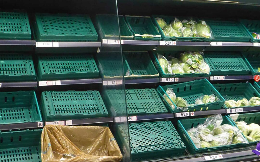 This is why we need more local food production: food shortages could be imminent…