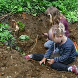 Edible Gardens projects – Bridport Primary and St Mary’s Primary