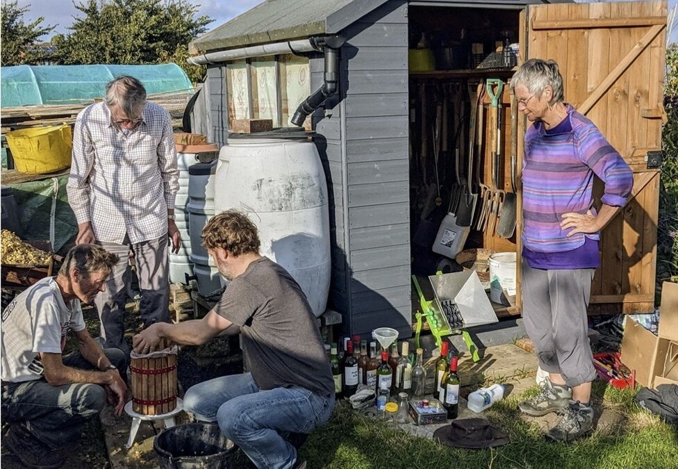 Bridport CoHousing Allotment Joy at Harvest Time, October 2021