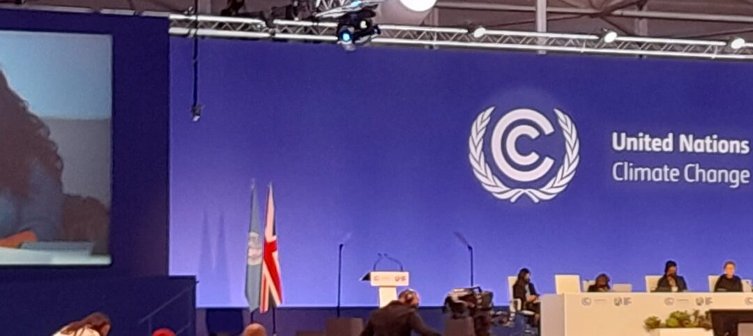 Jyoti Fernandes, Fivepenny Farm, speaks on behalf of farmers at the COP26 opening plenary