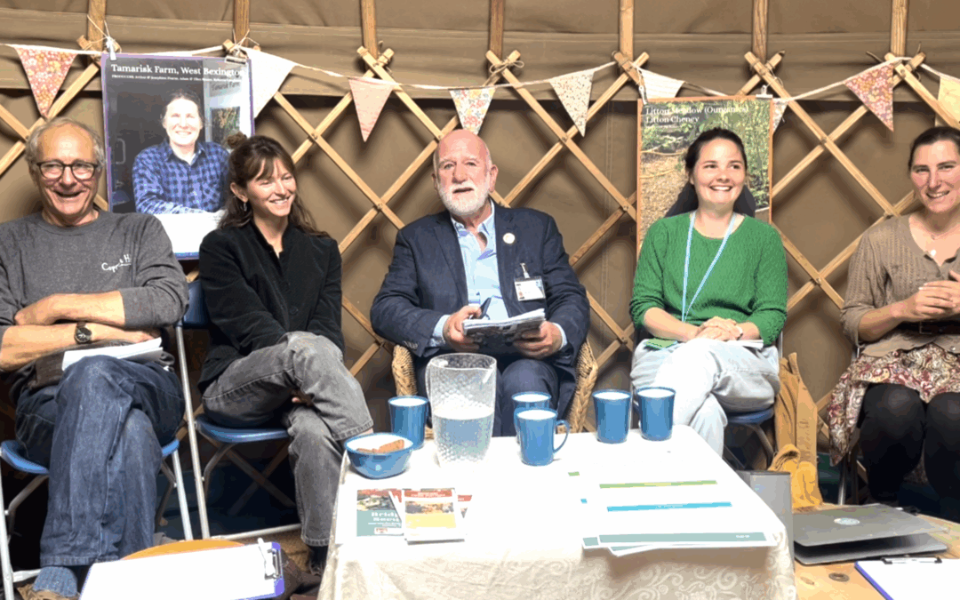 Bridport Food Matters’ activities at the Bridport Food Festival- Saturday 14th June